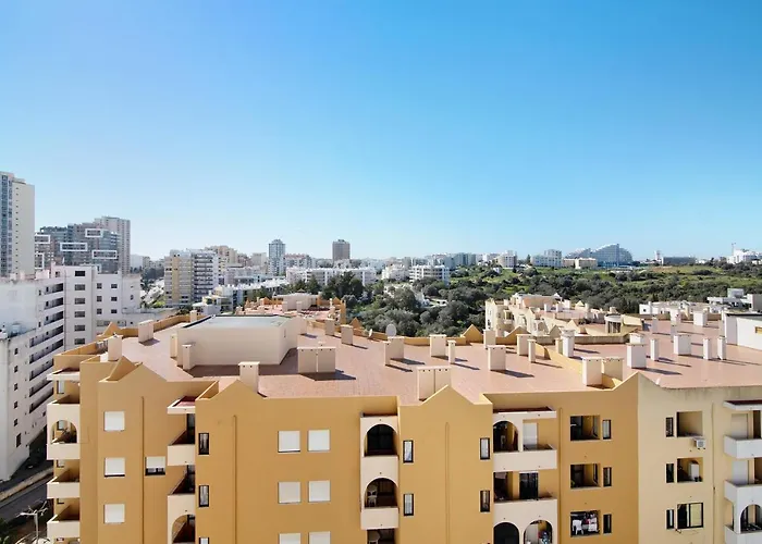 Freire * 波尔蒂芒